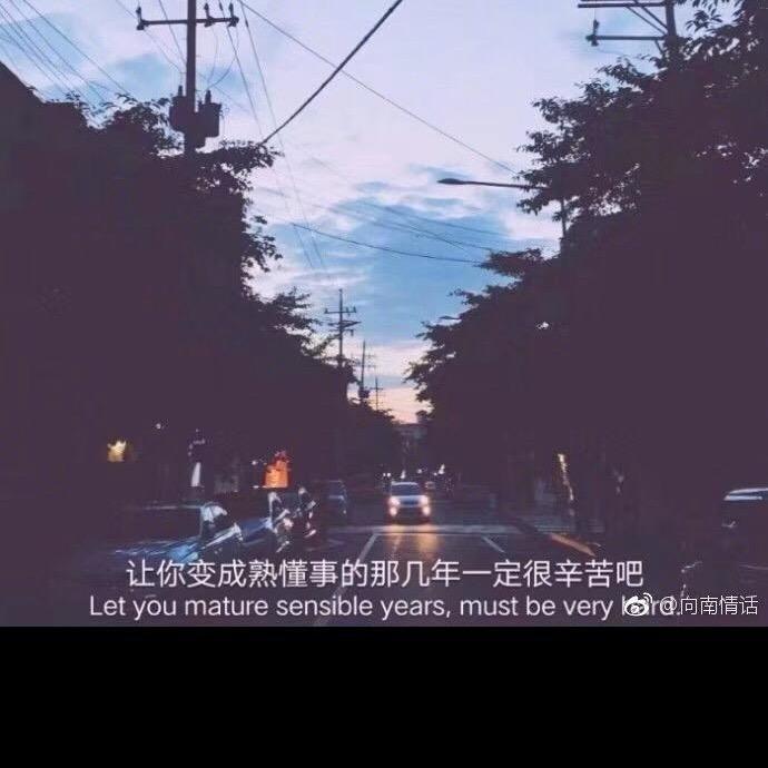 wh的朋友圈
