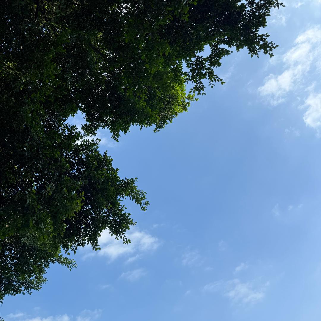 小舅子户外（努力版）