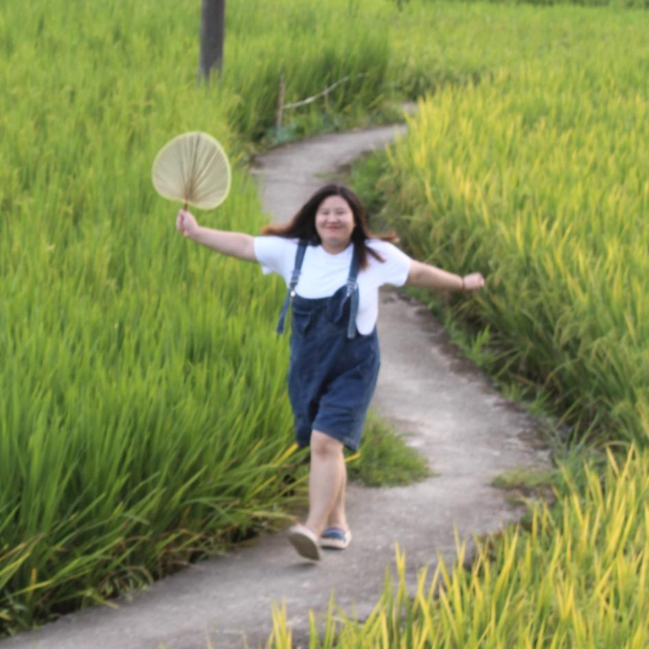 大王去巡山（努力版）