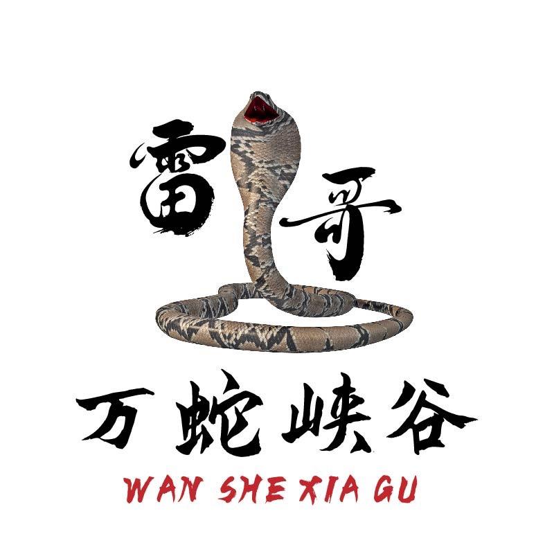 万蛇峡谷～雷哥-广东