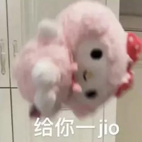 小慧猫猫