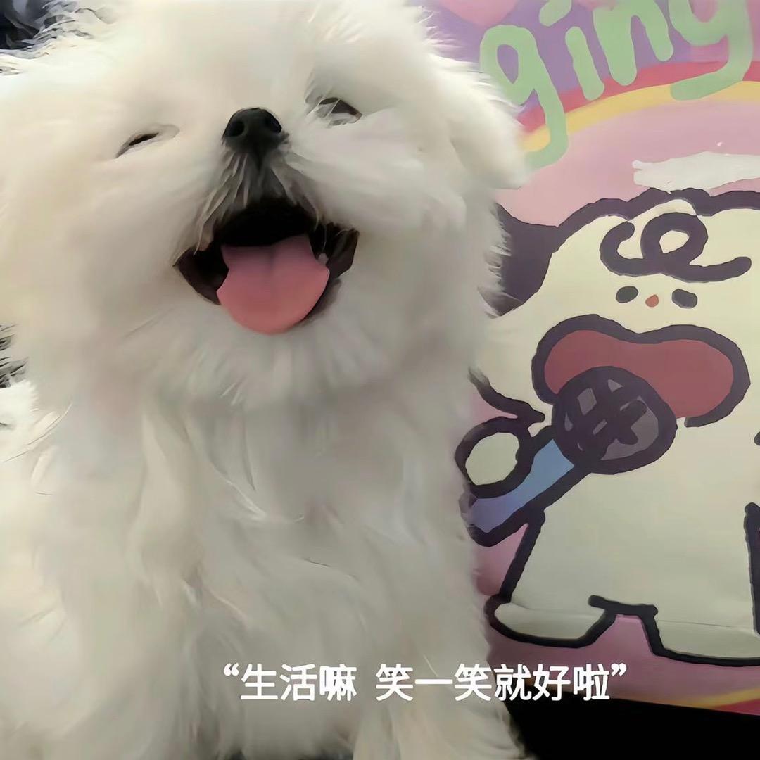 闺蜜来唠嗑🎀（每天中午开播！）