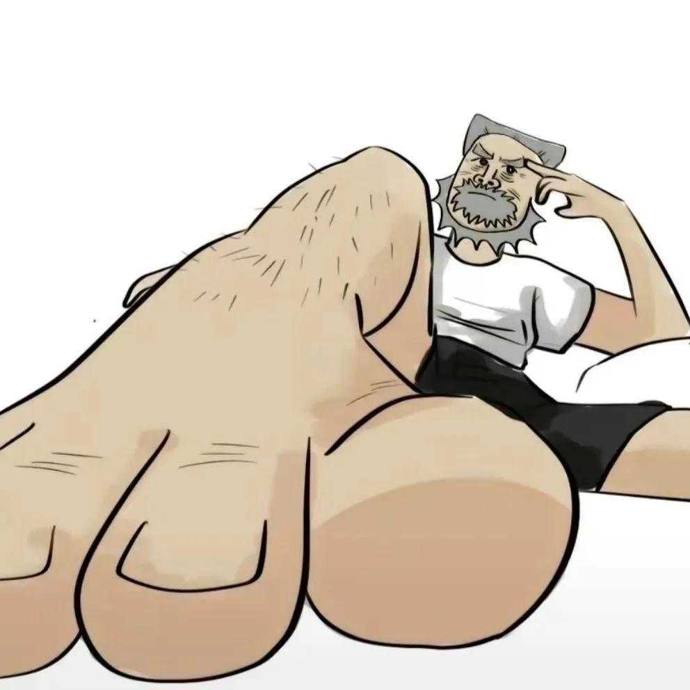 带壳的龟