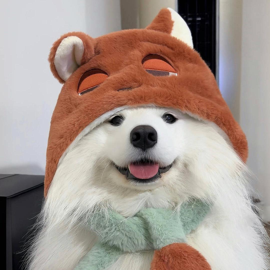 去码头整点薯条_