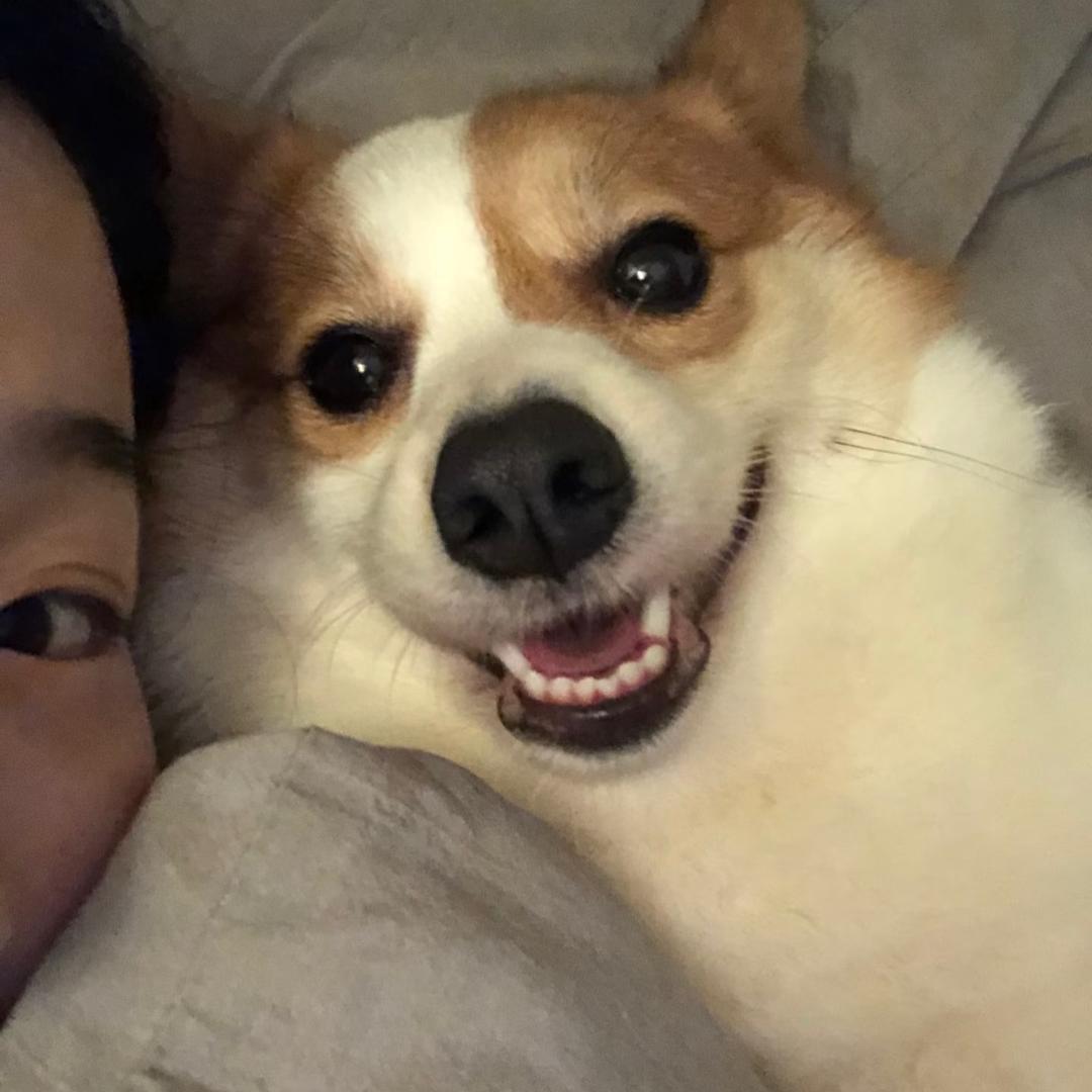 鸡腿饭哪能天天吃