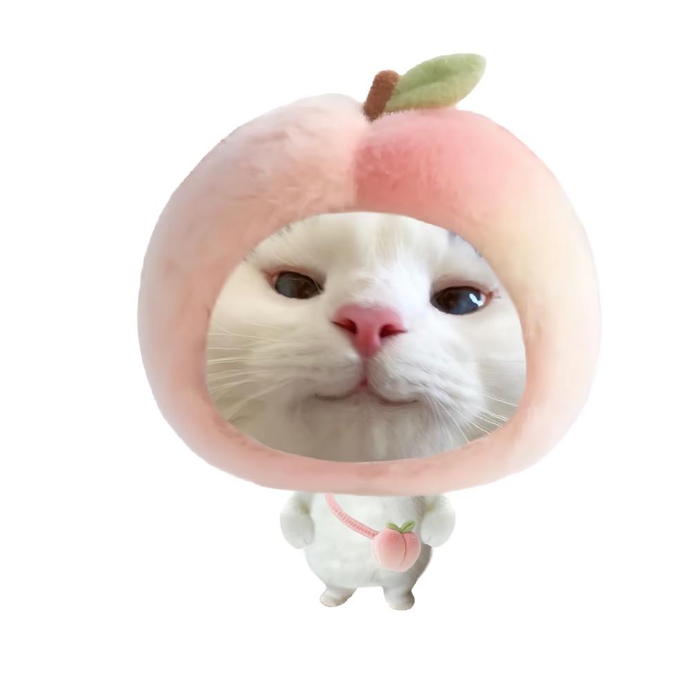 斤斤不计较