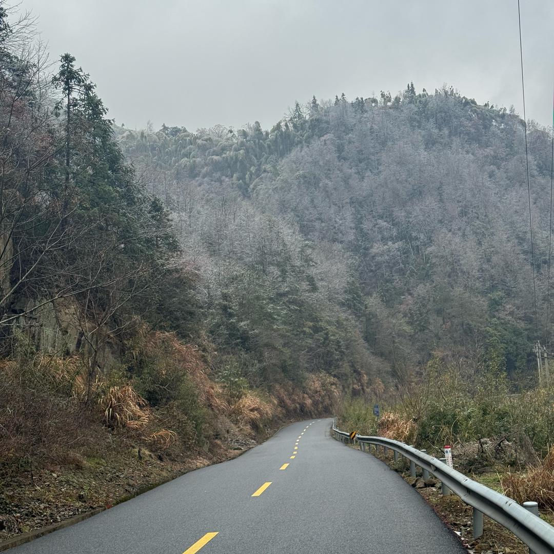 二货嘛   想吃啥