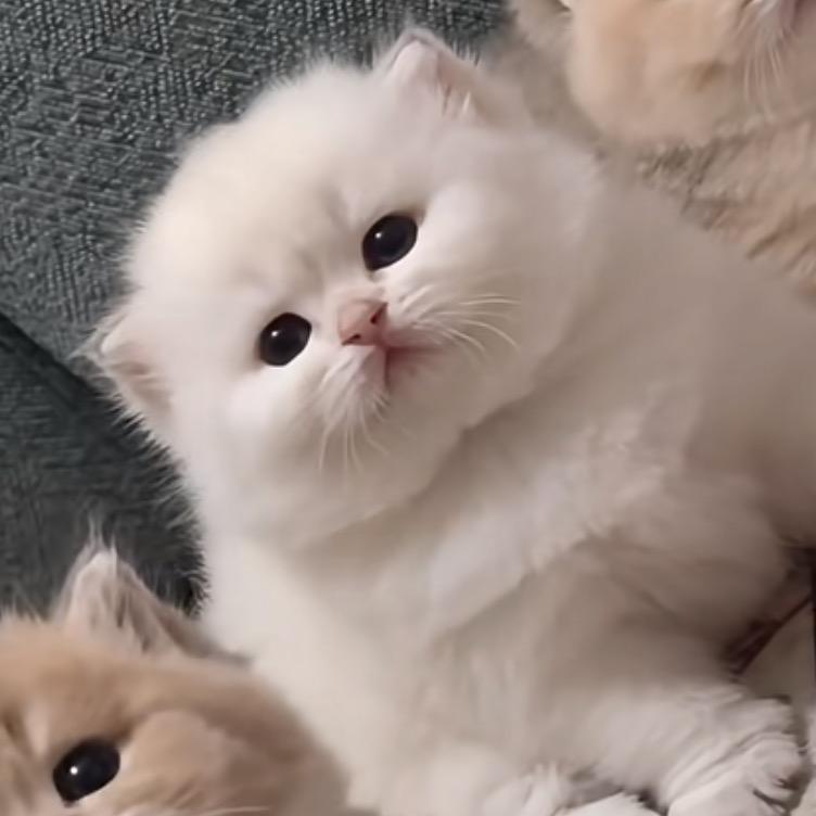 ——