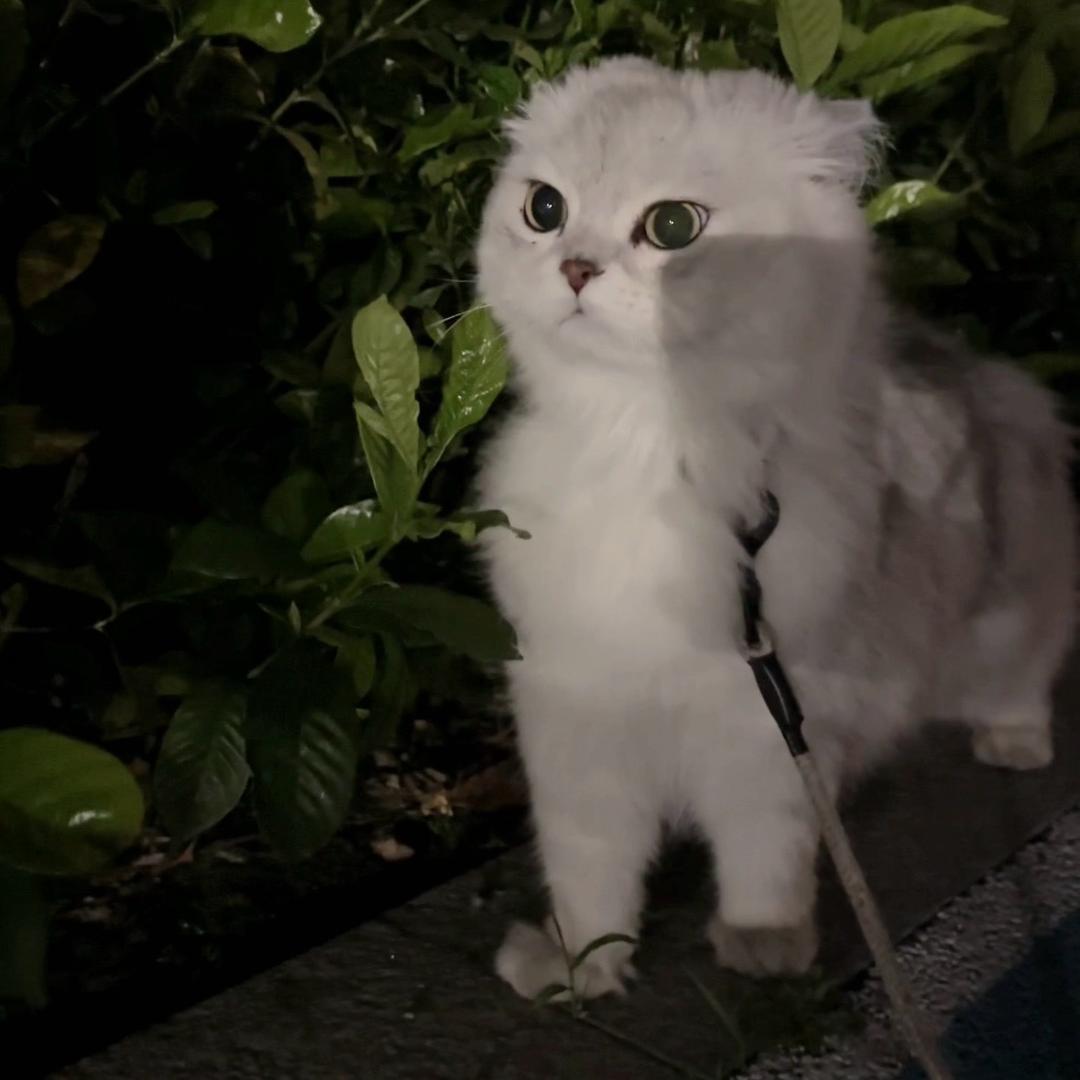 等等再等等