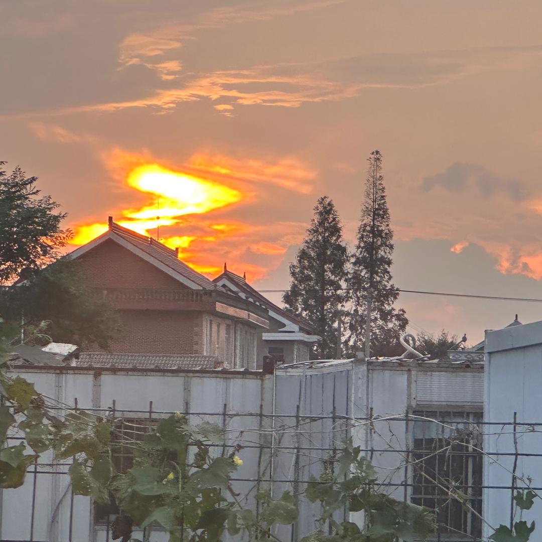 钢镚