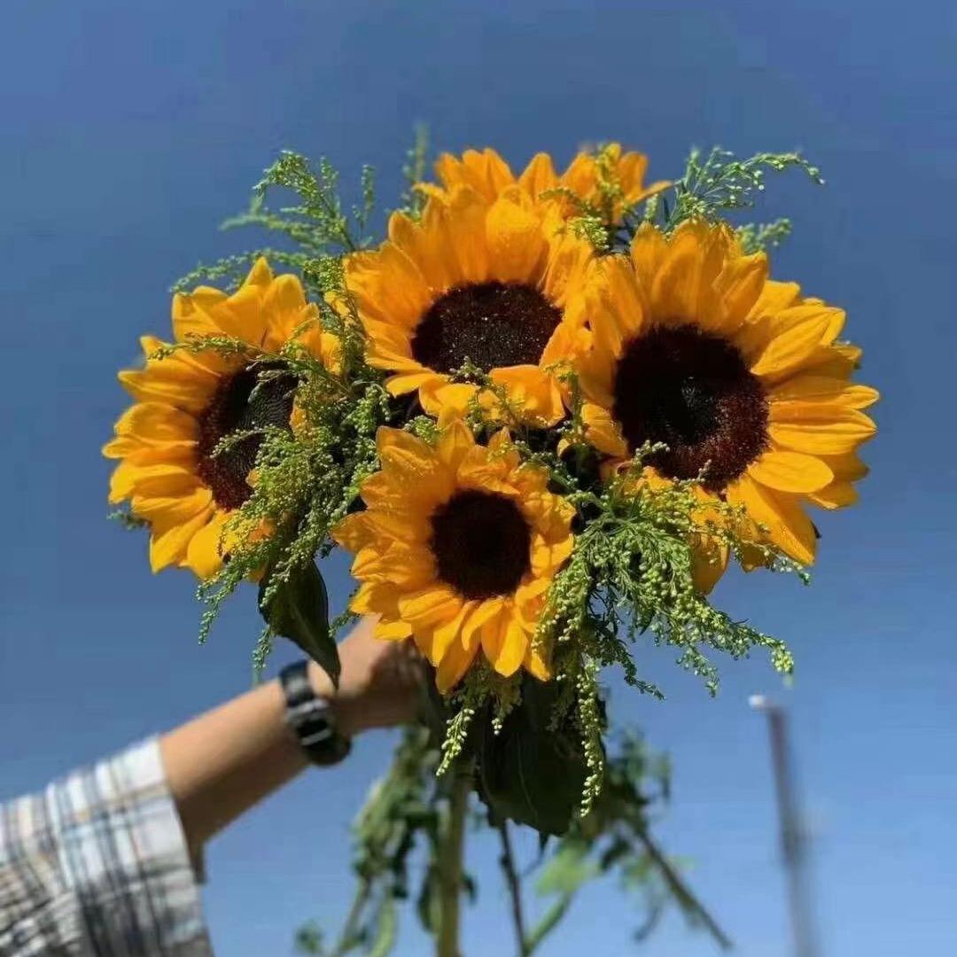 💕仅此而已💕