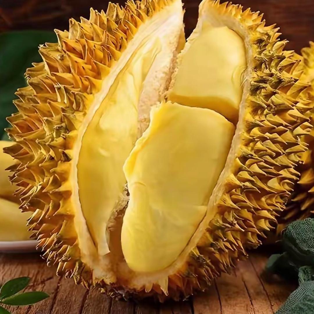 距离你0.01公里🍒🍑🍐