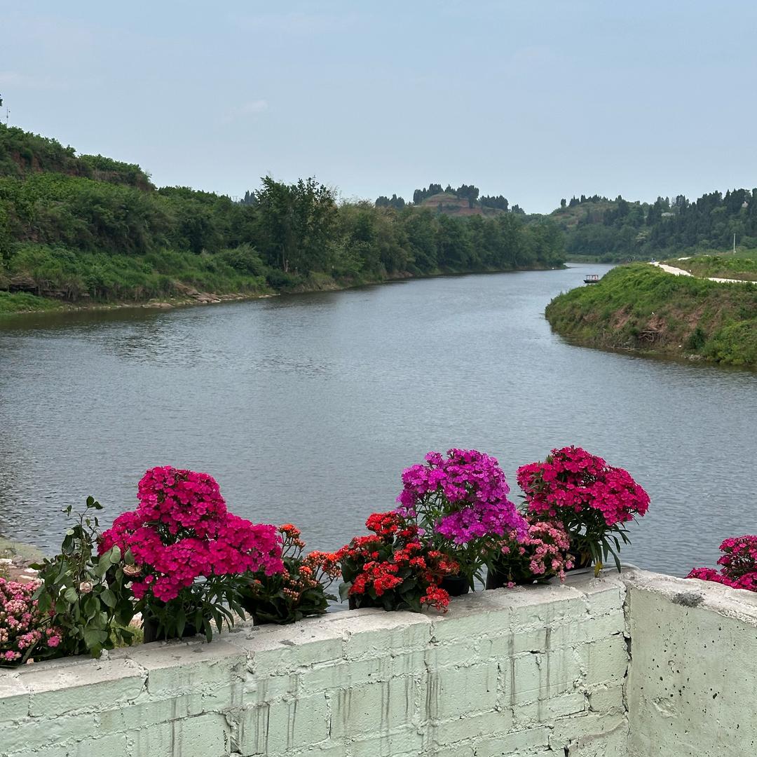 🍊橘颂·清流畔