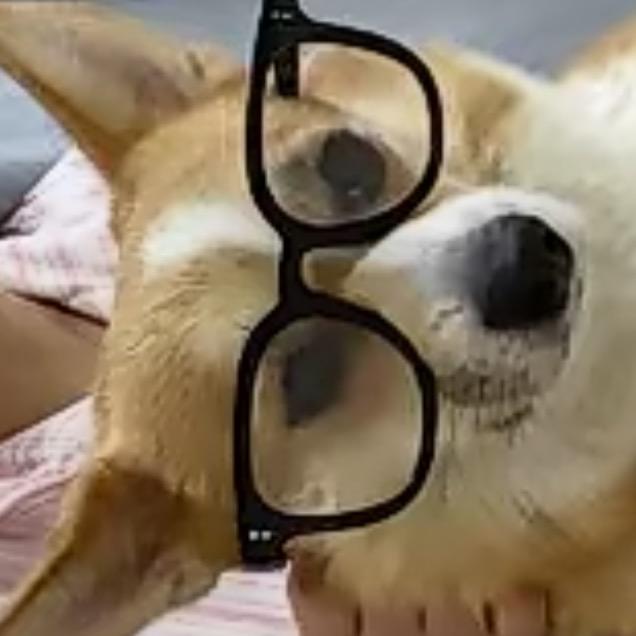 呆呆不呆呆𓆡𓆝𓆟𓆜