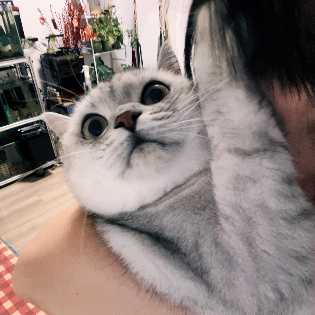 阳光明媚中老年美少女👸