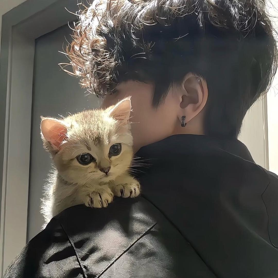 不赴✨