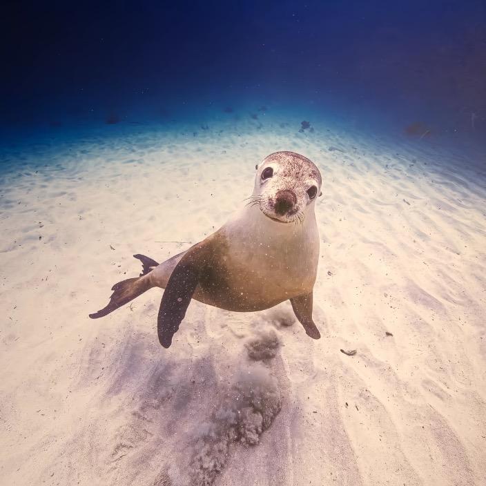 要什么Italy 雷总才是实的