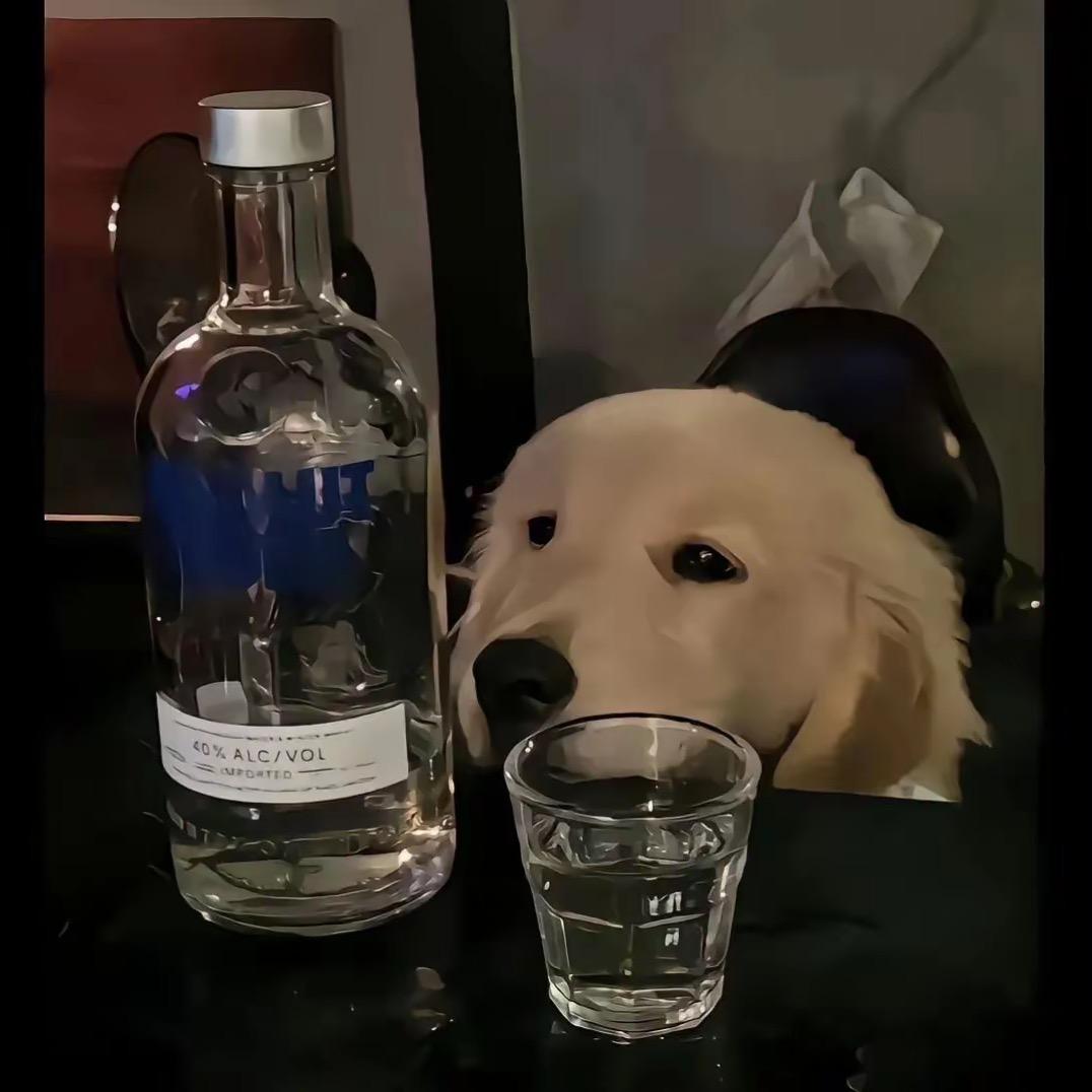 撕葱