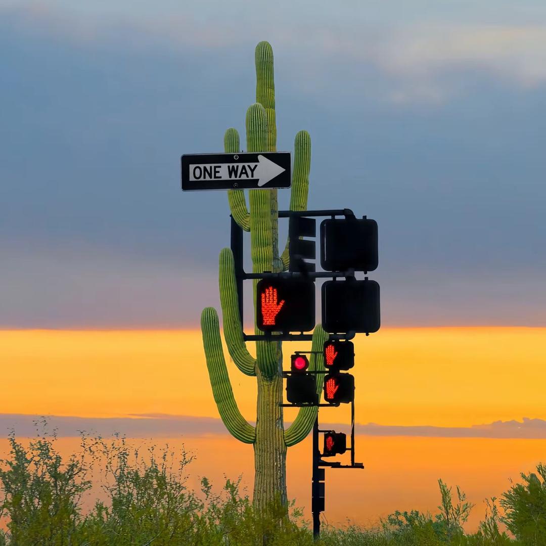 是荀子不是苟子