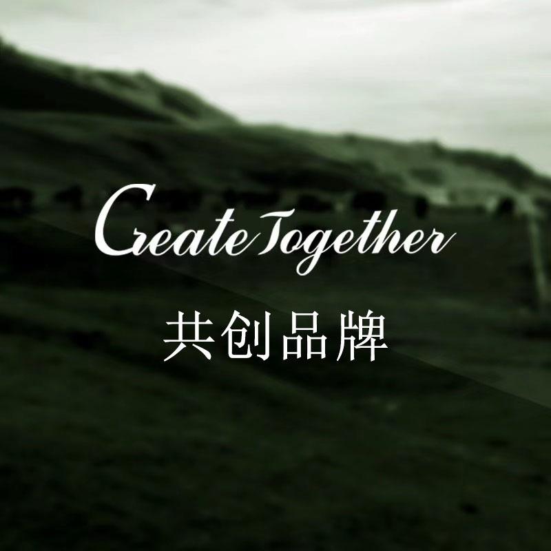 共创羊绒(大码韩版女装）