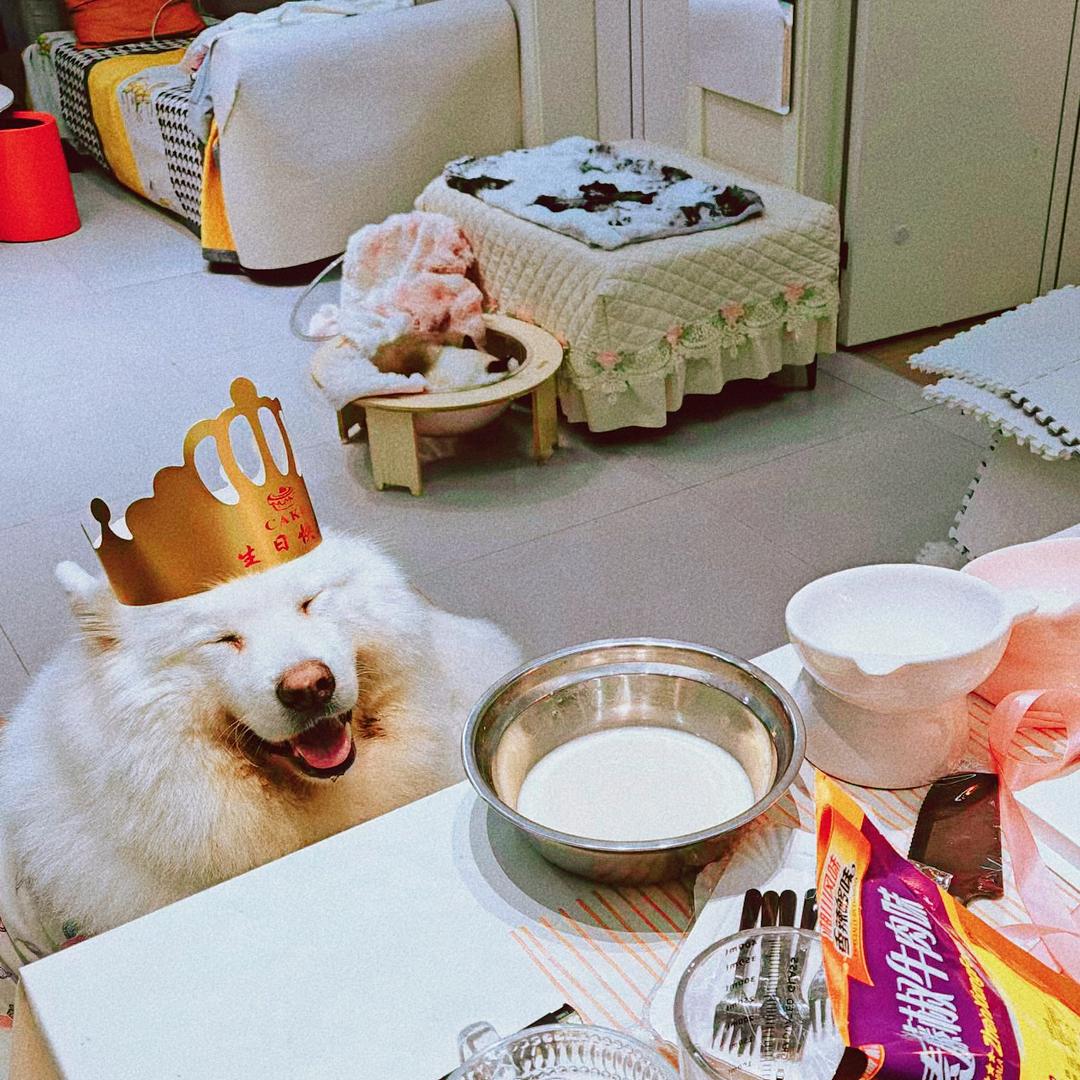 哈尼一家日常vlog