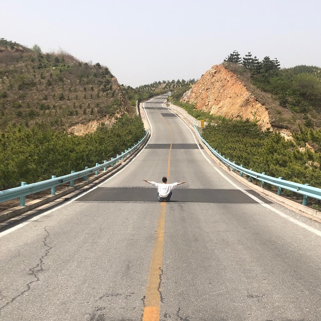 金凤凰