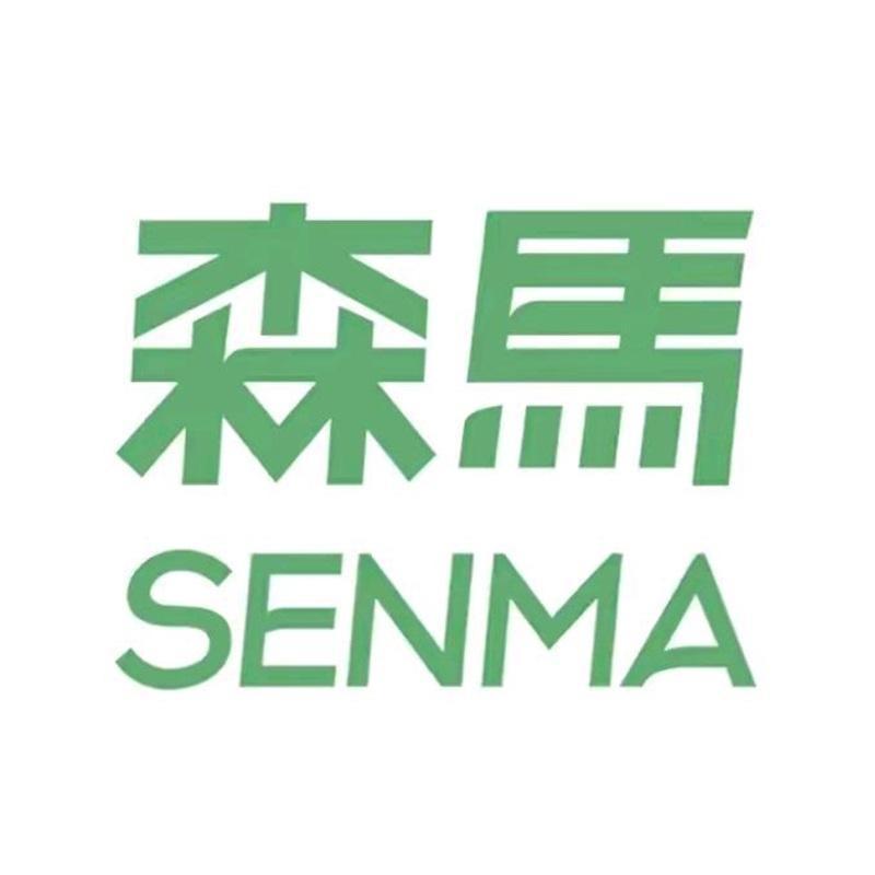 SENMA森马西环男鞋专卖店