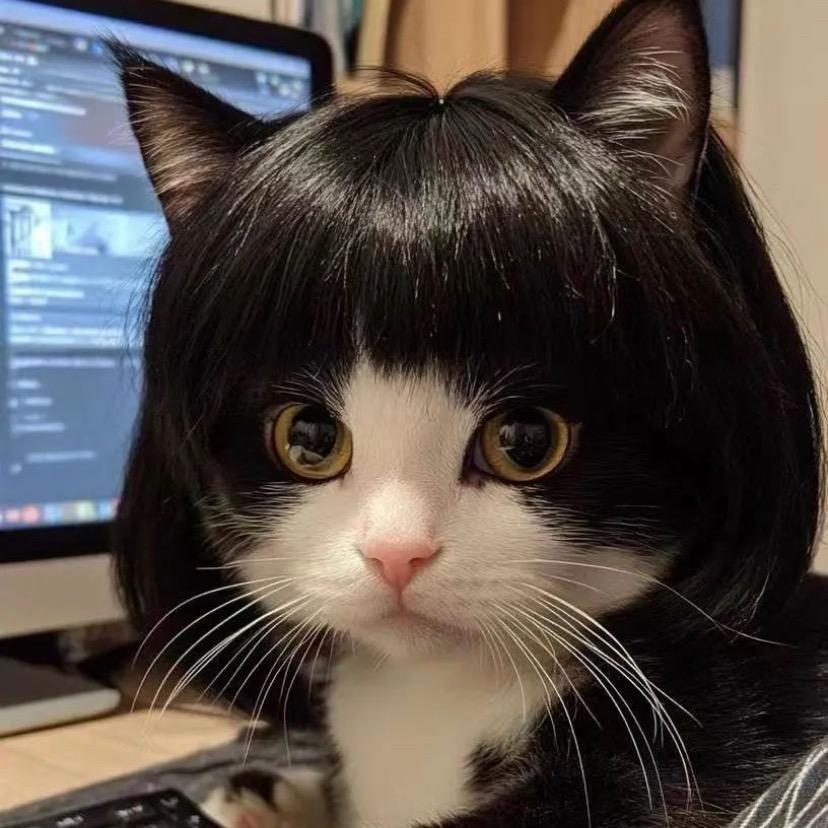 小黄书包