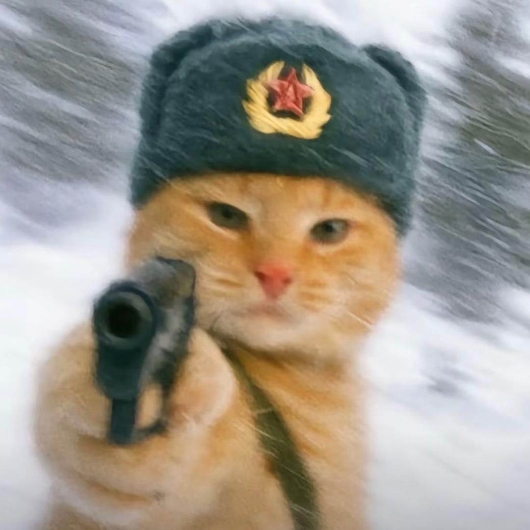张维良