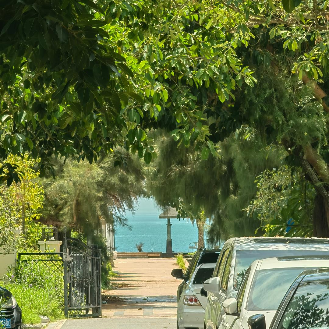 李子妈妈的日常🍰👶🏻