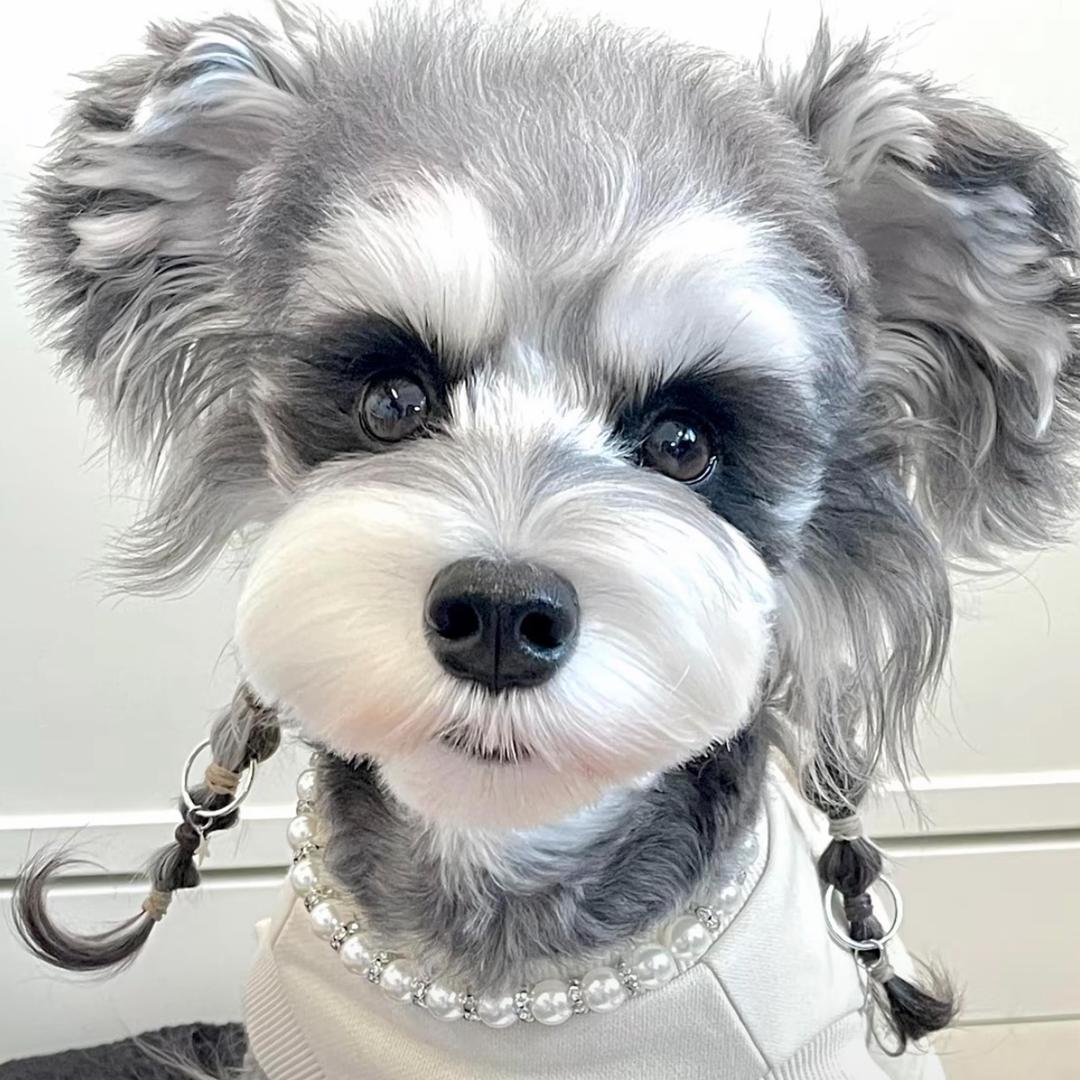 硕想涮吧丽华店