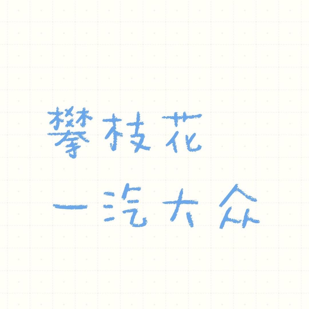 攀枝花一汽大众4S店
