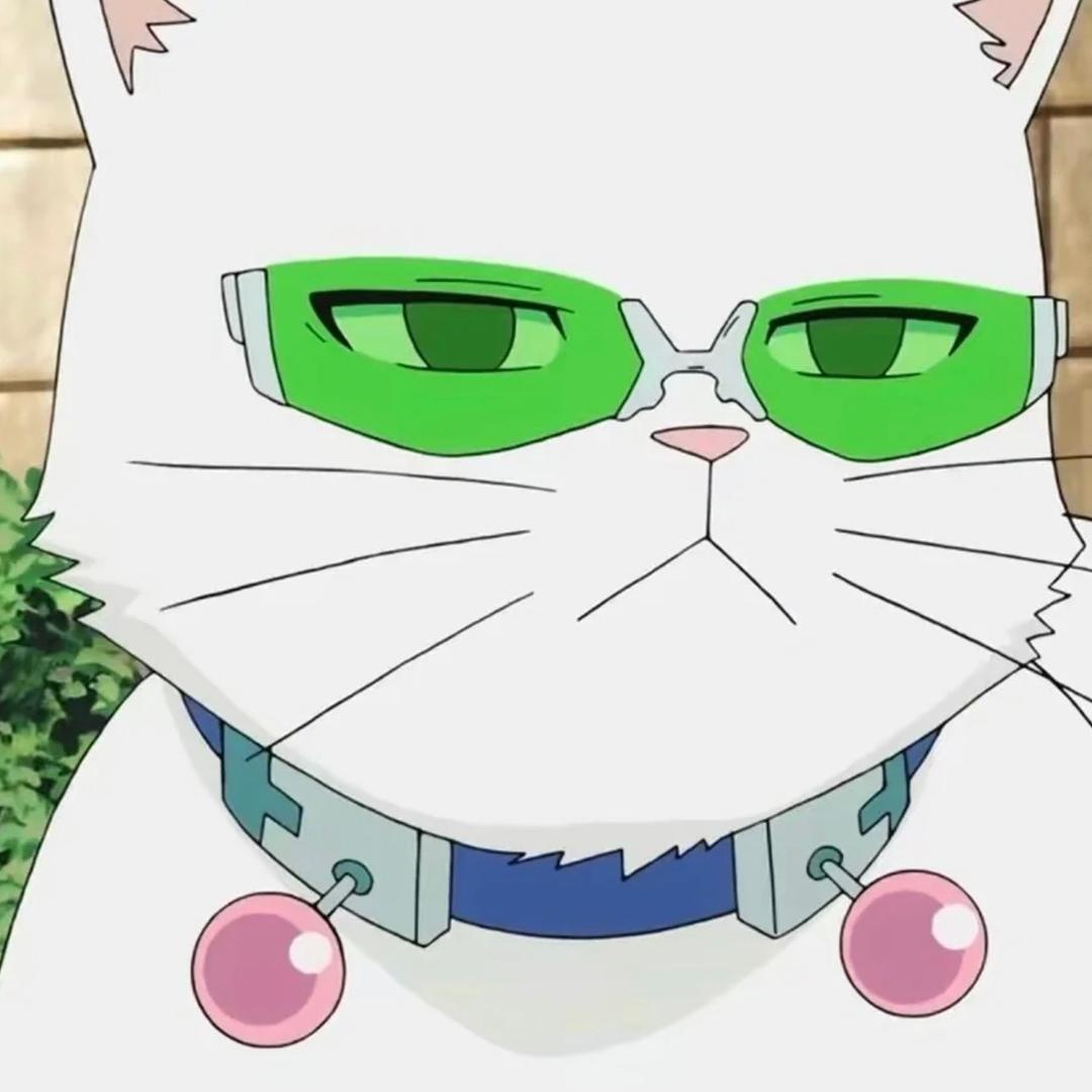 夜猫