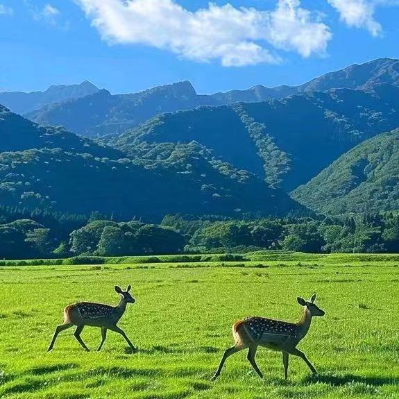众瑞陈二哥聊新车