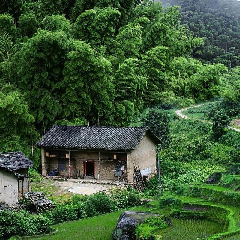 大展建材5646846运营号