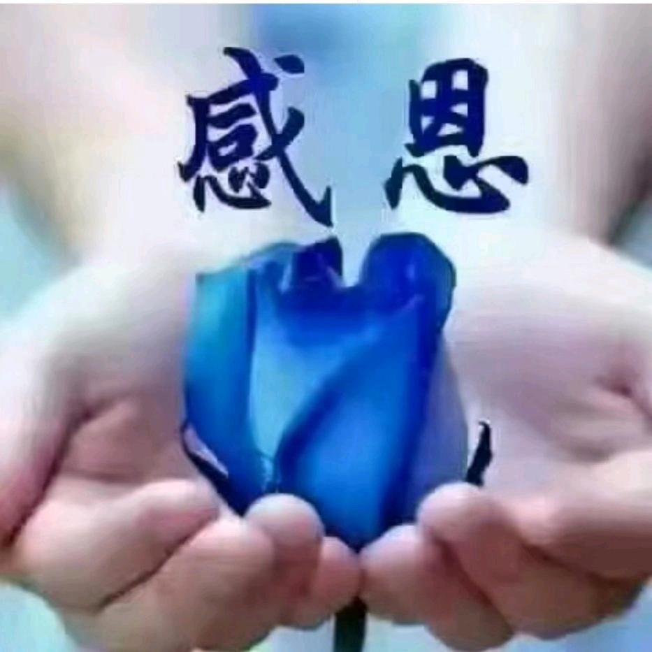 黑哥