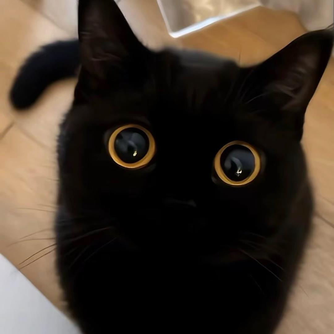 盆子