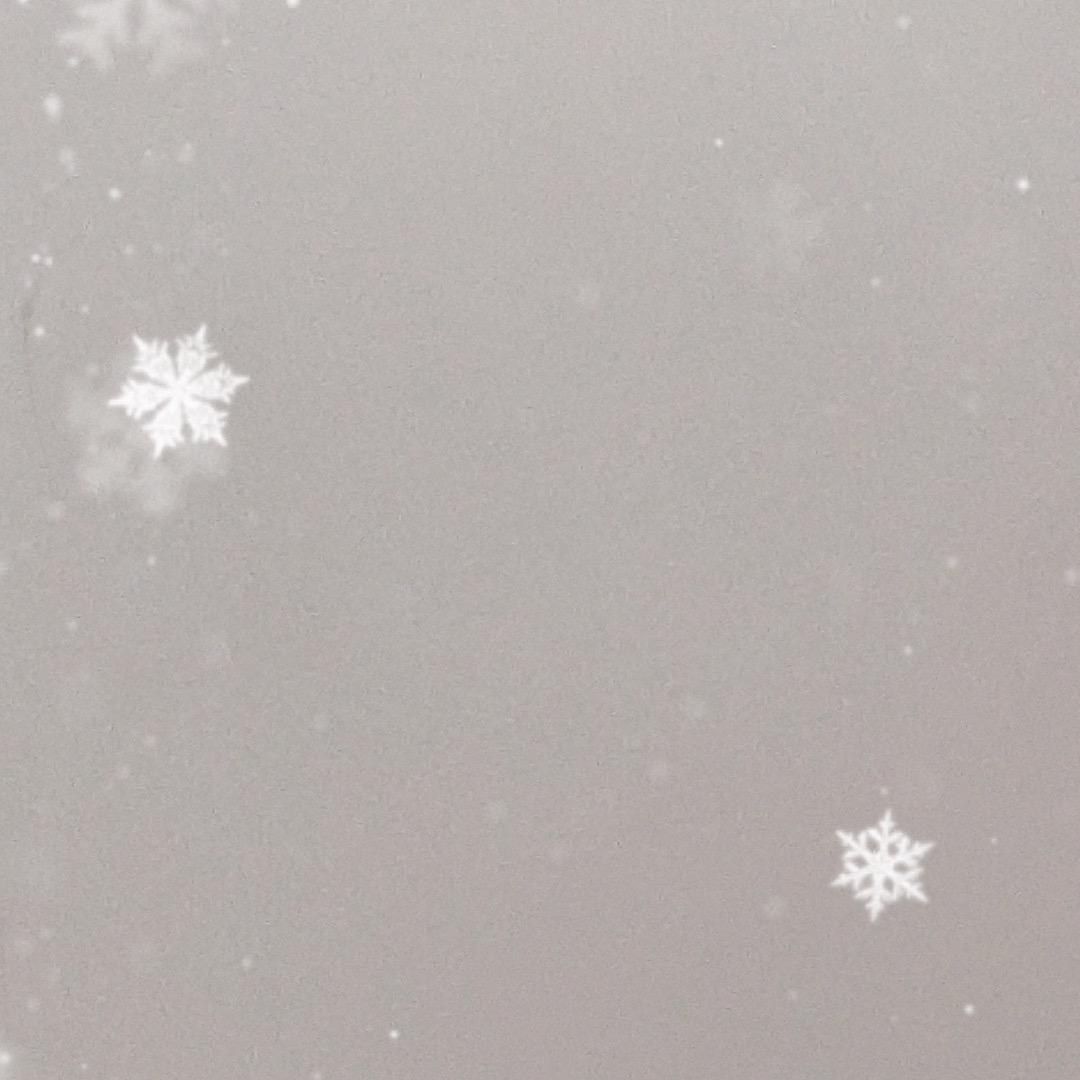 陈鸢得雪