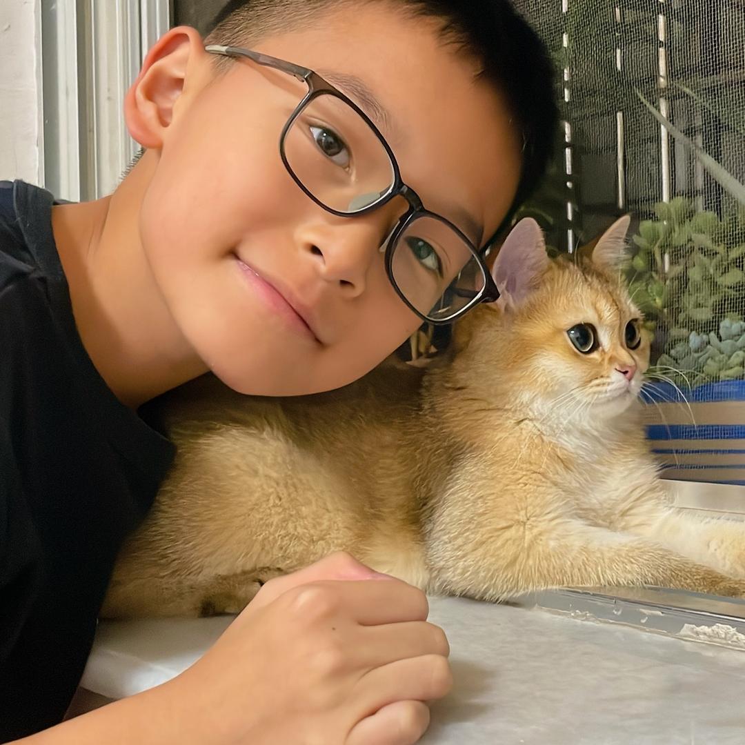 🐷在🐶的左边🐶🐷