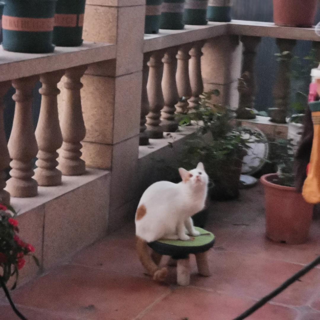 简简单单