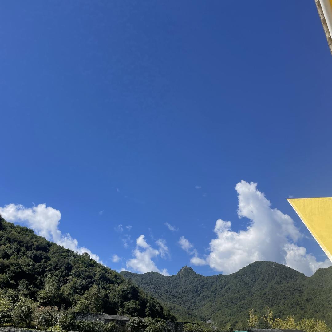 盛杨农副土特产店