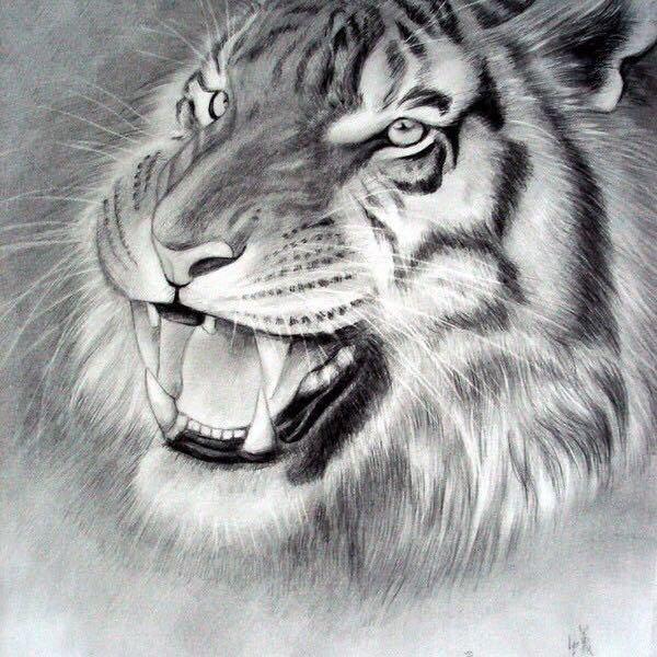 恩达化工@小旭哥