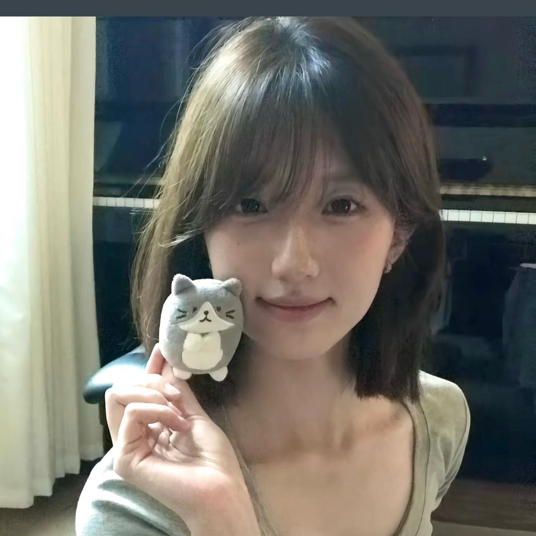 在下猫猫语