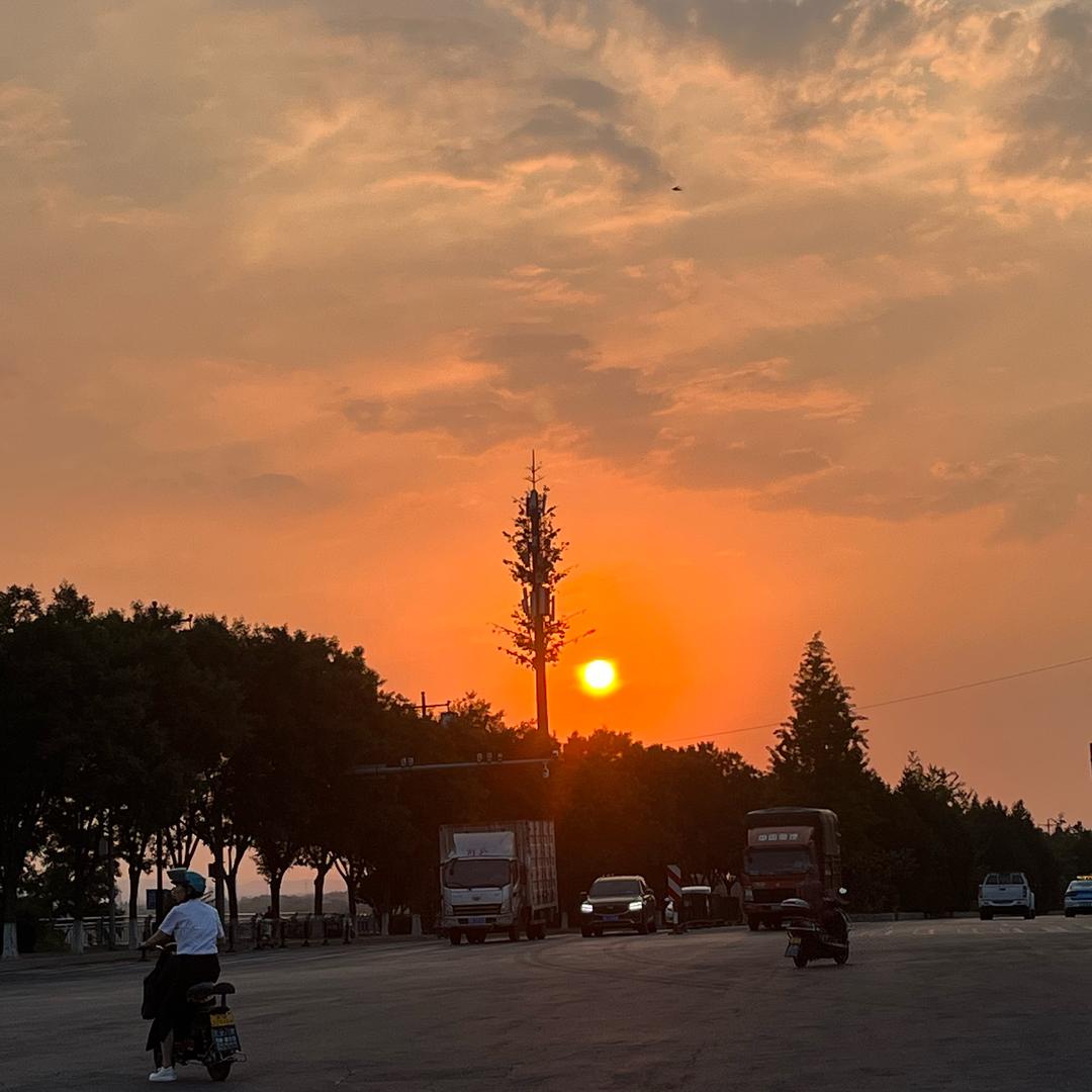 好运泡芙꙳˚̩͙