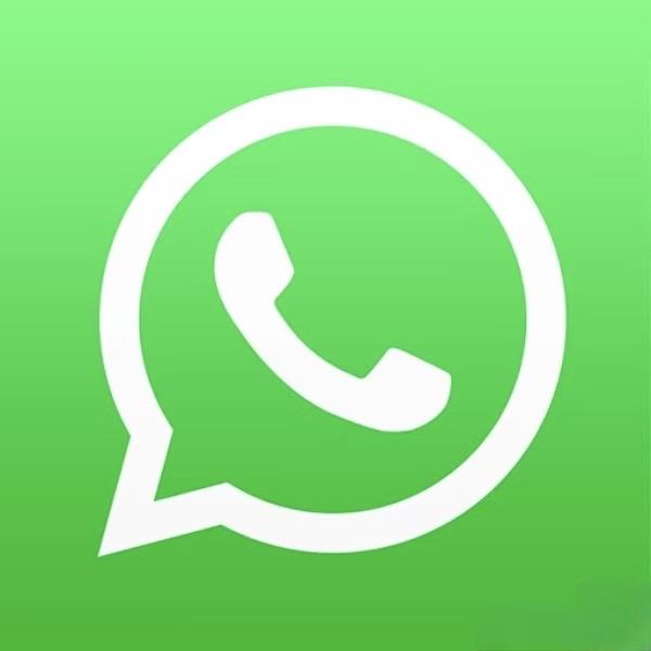 WhatsApp 信息咨询