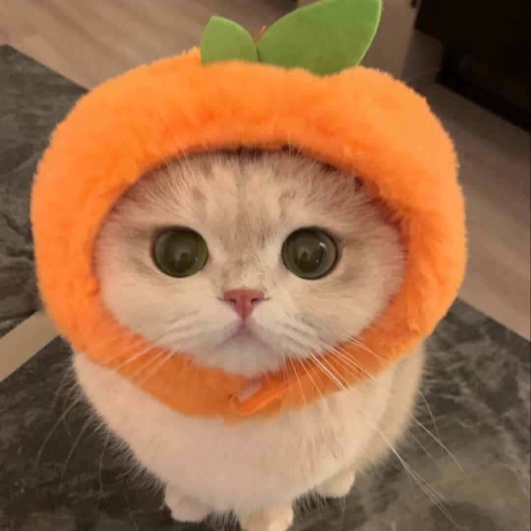 小小鱼🍓
