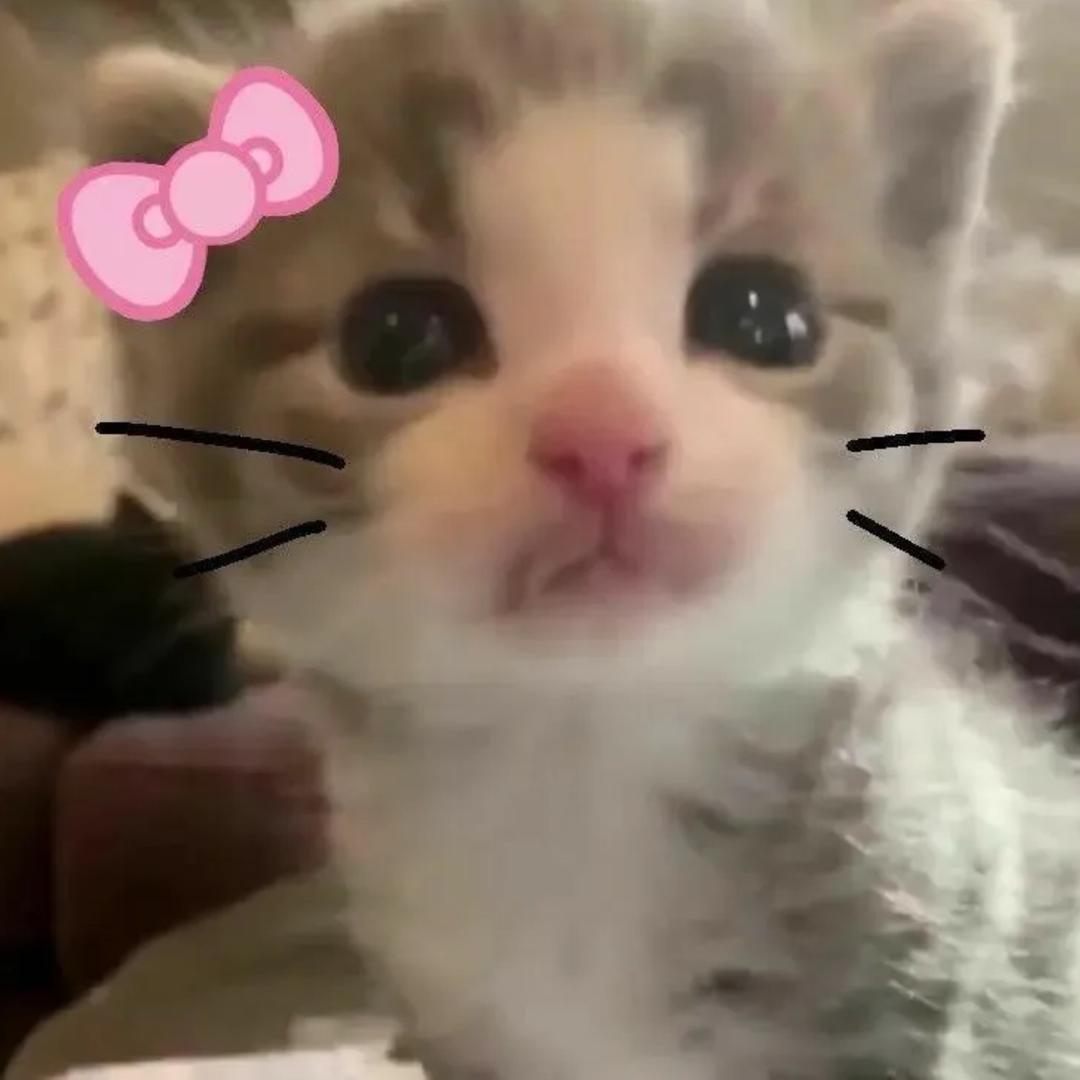 老生气^