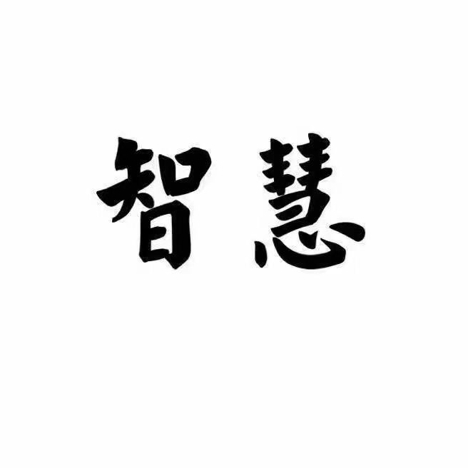 智慧人生