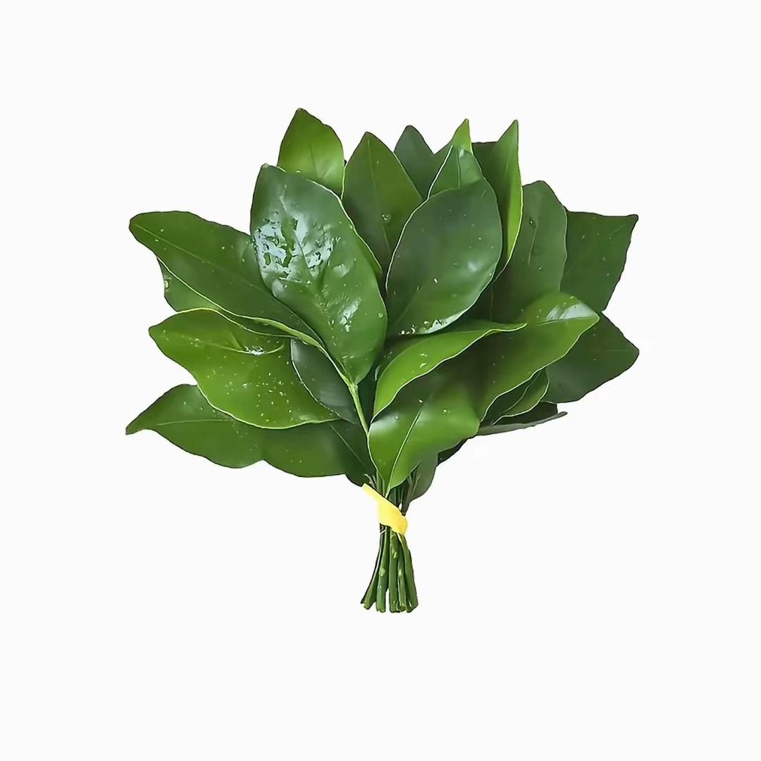 慧慧.