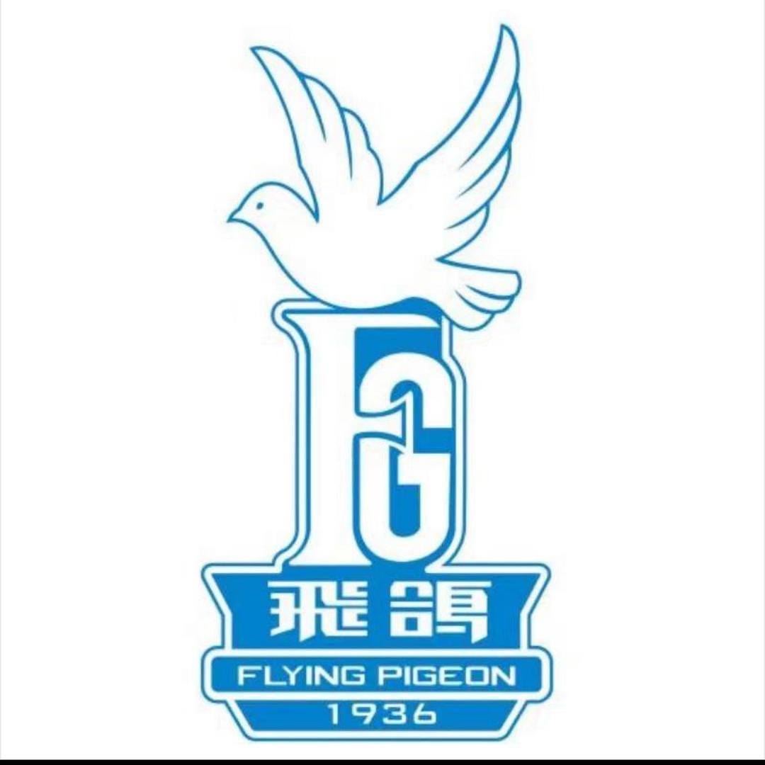 飞鸽品质自行车